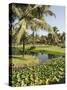 The Garden and Golf Course at the Leela Hotel, Mobor, Goa, India-R H Productions-Stretched Canvas