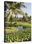 The Garden and Golf Course at the Leela Hotel, Mobor, Goa, India-R H Productions-Stretched Canvas