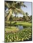 The Garden and Golf Course at the Leela Hotel, Mobor, Goa, India-R H Productions-Mounted Photographic Print
