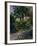 The Garden Around Manet's House in Reuil, France-Edouard Manet-Framed Giclee Print