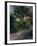 The Garden Around Manet's House in Reuil, France-Edouard Manet-Framed Giclee Print