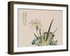 The Garden as Big as a Grain of Mustard, 17th-18th Century-null-Framed Giclee Print