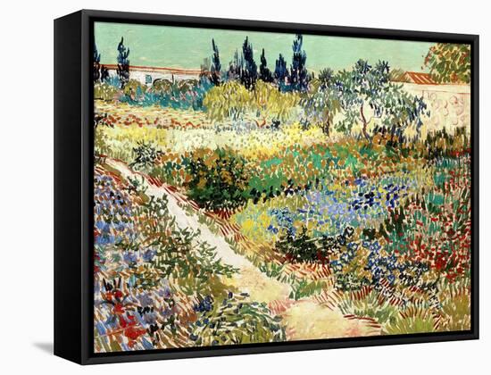 The Garden at Arles, 1888-Vincent van Gogh-Framed Stretched Canvas