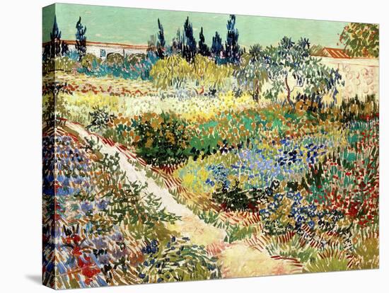 The Garden at Arles, 1888-Vincent van Gogh-Stretched Canvas