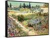 The Garden at Arles, 1888-Vincent van Gogh-Framed Stretched Canvas