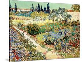 The Garden at Arles, 1888-Vincent van Gogh-Stretched Canvas