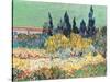 The Garden at Arles, Detail of the Cypress Trees, 1888 (Detail)-Vincent van Gogh-Stretched Canvas