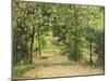 The Garden at Eragny in Spring, 1894-Camille Pissarro-Mounted Giclee Print