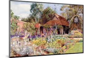 The Garden at Golden Field-Juliet Nora Williams-Mounted Art Print