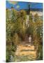 The Garden at Vetheuil-Claude Monet-Mounted Art Print