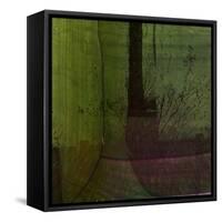 The Garden Awakes-Valda Bailey-Framed Stretched Canvas