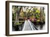 The Garden Bridge-Daniel Burt-Framed Photographic Print