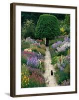 The Garden Cat-Greg Gawlowski-Framed Photographic Print