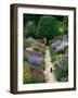 The Garden Cat-Greg Gawlowski-Framed Photographic Print