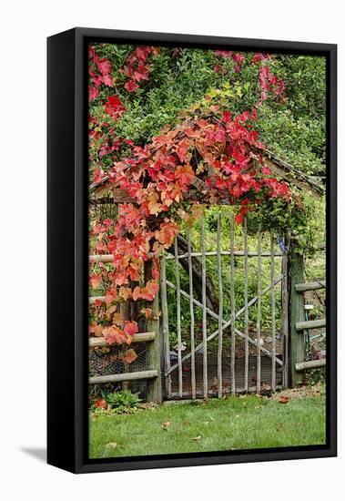 The Garden Gate-George Johnson-Framed Stretched Canvas