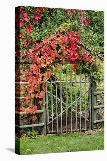 The Garden Gate-George Johnson-Stretched Canvas