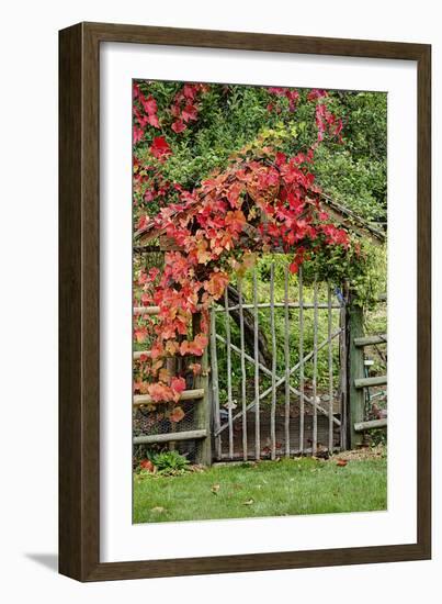 The Garden Gate-George Johnson-Framed Photographic Print