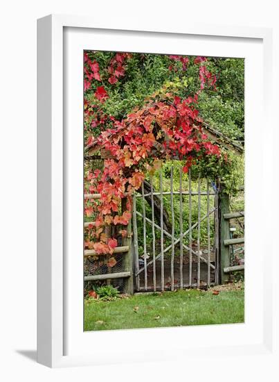 The Garden Gate-George Johnson-Framed Photographic Print