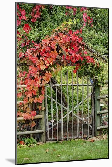 The Garden Gate-George Johnson-Mounted Photographic Print