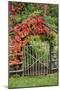 The Garden Gate-George Johnson-Mounted Photographic Print