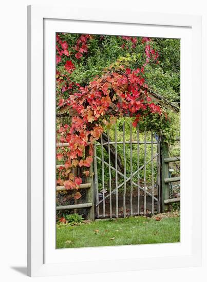 The Garden Gate-George Johnson-Framed Photographic Print