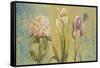 The Garden II-Patricia Pinto-Framed Stretched Canvas