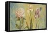 The Garden II-Patricia Pinto-Framed Stretched Canvas