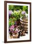 The Garden Nook I-Alan Hausenflock-Framed Photographic Print