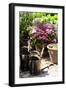 The Garden Nook III-Alan Hausenflock-Framed Photographic Print