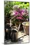 The Garden Nook III-Alan Hausenflock-Mounted Photographic Print