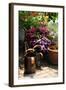 The Garden Nook IV-Alan Hausenflock-Framed Photographic Print