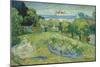 The Garden of Daubigny, 1890-Vincent van Gogh-Mounted Premium Giclee Print