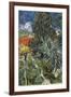 The Garden of Doctor Gachet at Auvers-Sur-Oise (Le Jardin Du Docteur-Vincent van Gogh-Framed Premium Giclee Print