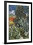 The Garden of Doctor Gachet at Auvers-Sur-Oise (Le Jardin Du Docteur-Vincent van Gogh-Framed Premium Giclee Print