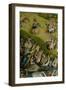 The Garden of Earthly Delights, 1490-1500-Hieronymus Bosch-Framed Premium Giclee Print