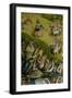 The Garden of Earthly Delights, 1490-1500-Hieronymus Bosch-Framed Premium Giclee Print