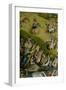 The Garden of Earthly Delights, 1490-1500-Hieronymus Bosch-Framed Giclee Print