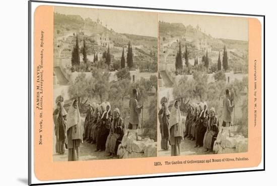 The Garden of Gethsemane and the Mount of Olives, Palestine, 1898-BW Kilburn-Mounted Giclee Print