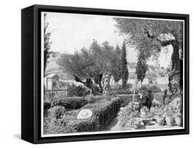 The Garden of Gethsemane, Palestine, Late 19th Century-John L Stoddard-Framed Stretched Canvas