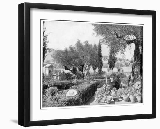 The Garden of Gethsemane, Palestine, Late 19th Century-John L Stoddard-Framed Giclee Print