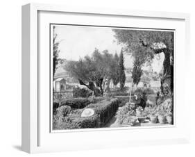 The Garden of Gethsemane, Palestine, Late 19th Century-John L Stoddard-Framed Giclee Print