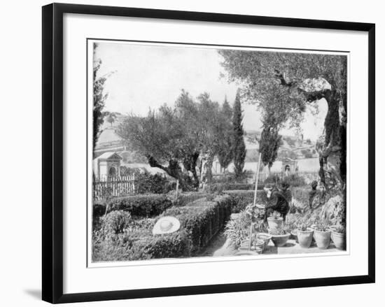 The Garden of Gethsemane, Palestine, Late 19th Century-John L Stoddard-Framed Giclee Print