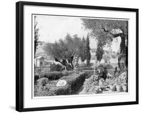 The Garden of Gethsemane, Palestine, Late 19th Century-John L Stoddard-Framed Giclee Print