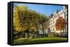 The Garden of Place Rene Viviani in Autumn-Massimo Borchi-Framed Stretched Canvas