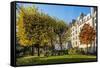 The Garden of Place Rene Viviani in Autumn-Massimo Borchi-Framed Stretched Canvas