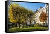 The Garden of Place Rene Viviani in Autumn-Massimo Borchi-Framed Stretched Canvas