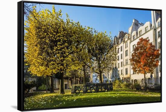 The Garden of Place Rene Viviani in Autumn-Massimo Borchi-Framed Stretched Canvas