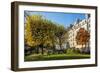 The Garden of Place Rene Viviani in Autumn-Massimo Borchi-Framed Photographic Print