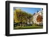 The Garden of Place Rene Viviani in Autumn-Massimo Borchi-Framed Photographic Print