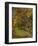 The Garden of Saint-Paul Hospital-Vincent van Gogh-Framed Art Print